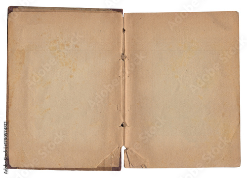 Vintage empty background of old book paper texture isolated