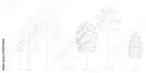 Various stylized tree line art for natural design and architectural plans