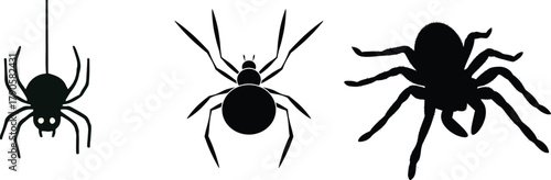 Creepy Spider Vector Silhouettes on White Background