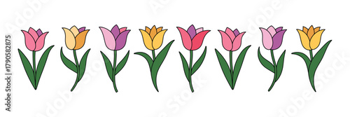 Simple cartoon tulip flowers vector art, a colorful row of spring blossoms on white. isolated on white background
