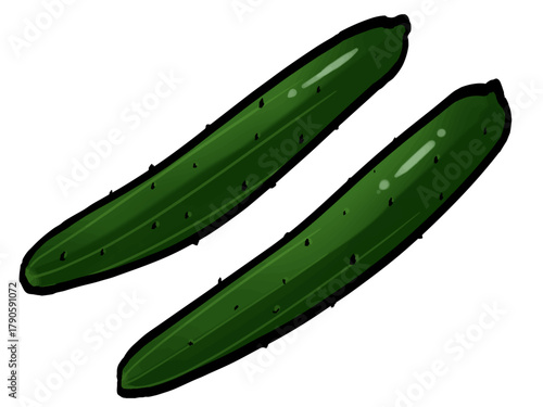 きゅうりのイラスト （筆タッチ・野菜） シンプル / Cucumber – Japanese Pickled Vegetable Illustration (Brush Style)