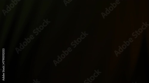 Captures mysterious dark shapes, creating an intriguing and enigmatic mood. Suitable for abstract concepts, backgrounds, and eerie designs.
