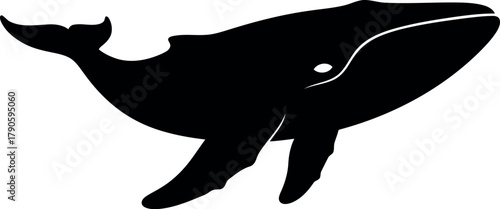 Silhouette whale ocean marine life