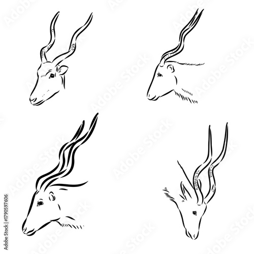 addax, deer, vector sketch illustration