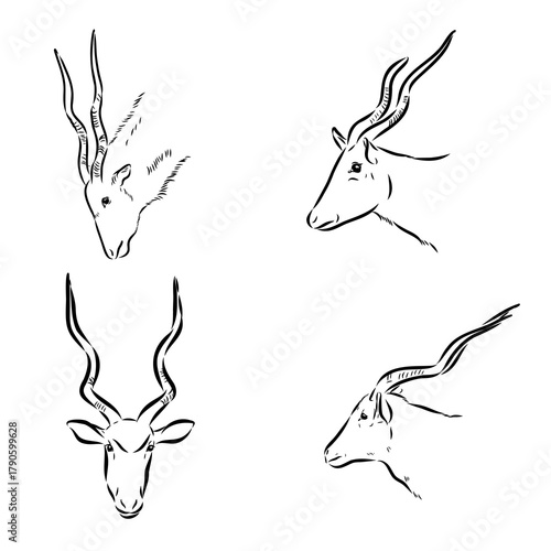 addax, deer, vector sketch illustration