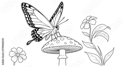 Butterfly mushroom flower coloring page for kids and adults art