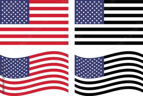 USA National Flag  American Flag Illustration in Color and Black White
