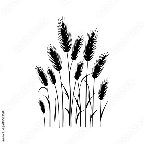 Wheat stalks representing agriculture, grain harvest, rural farming, and natural food production.
