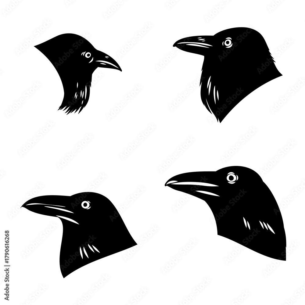 Fototapeta premium crow, black bird, vector sketch