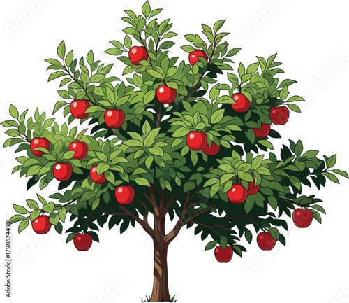 Illustration of a bountiful apple tree with ripe red apples hanging from its branches against a white background in a cartoon style design