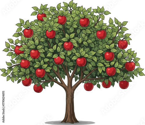 Illustration of a bountiful apple tree with ripe red apples hanging among green leaves against a clean white background in a cartoon style