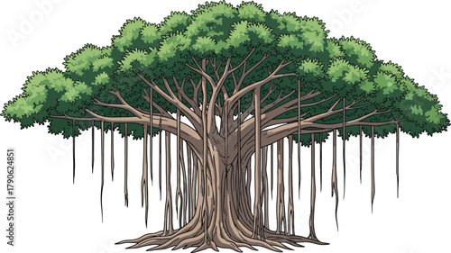 Illustration of a large banyan tree with aerial roots and green leaves isolated on white perfect for nature and botanical designs and education