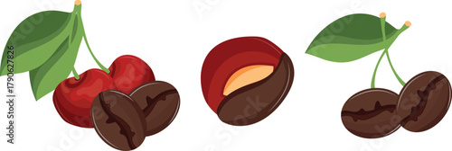 set of icons of ripe cherries and roasted coffee beans in various shapes, denoting the taste of coffee, for thematic menus in coffee shops and restaurants