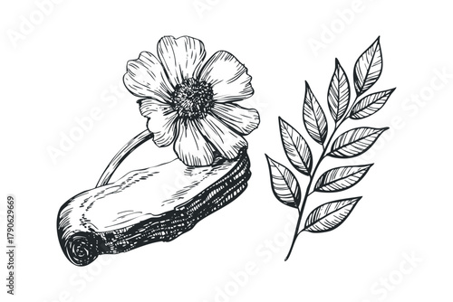 Hand-drawn flower and leaves on a log