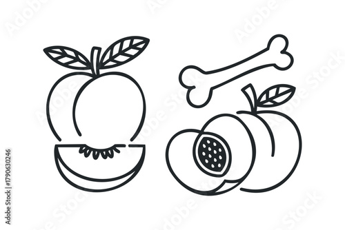 Outline of Peaches and Bone