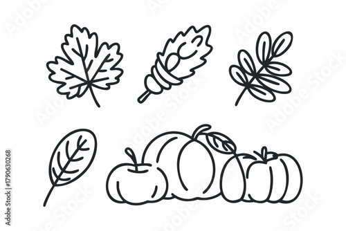 Autumn leaves and gourds outline collection