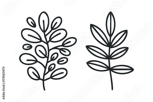 Two simple botanical line drawings of leaves on stems