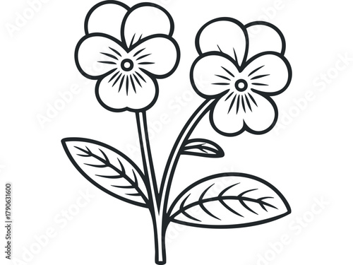 Line art drawing of two pansy flowers with leaves