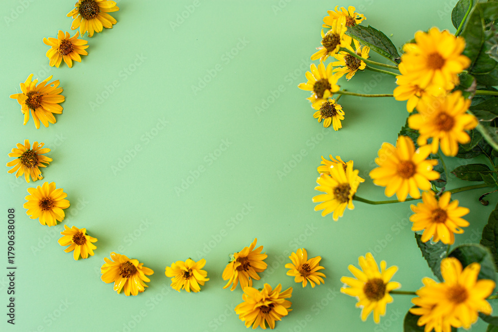 Fototapeta premium Yellow flowers arranged on green background with copy space