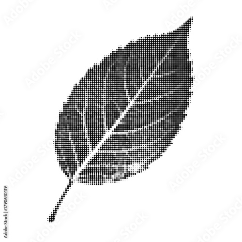 Detailed leaf illustration in halftone style. Black and white botanical texture for eco design, prints, and minimal art projects.