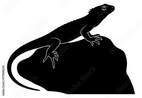 Black Silhouette of Lizard or Iguana Resting on a Rock Vector Graphic Icon
