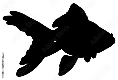 Black Silhouette of a Fantail Goldfish Isolated on White Background
