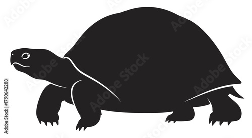 Black Silhouette Tortoise Icon or Vector Graphic Isolated on White Background
