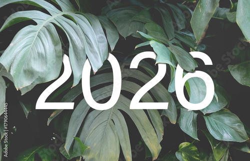 2026 New year white text hidden in natural green monstera leaves. Floral typography design