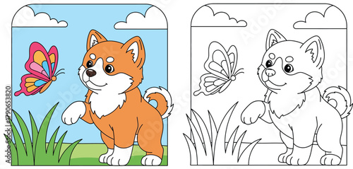 Cute Shiba Inu Puppy Playing with a Colorful Butterfly in a Grassy Field - Adorable Cartoon Vector Illustration for Kids Coloring Book