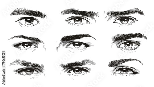 Diverse Male and Female Eyebrows of Various Shapes Vector Illustration