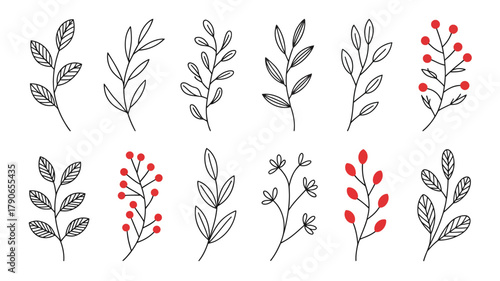 Minimalist hand drawn botanical elements collection with various leaves and red berries, perfect for nature-inspired designs, outlines and simple graphics.