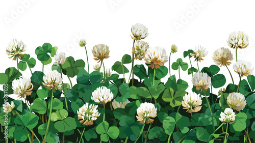 Vibrant Clover with Dense Spike of White Flowers