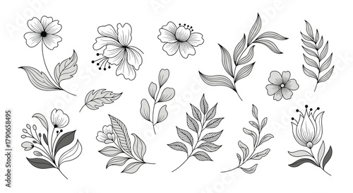 A collection of hand-drawn botanical illustrations featuring delicate flowers and leafy branches in a minimalist sketch style.