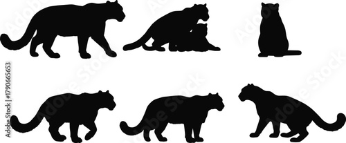 Big cat silhouettes collection isolated on white background, vector illustration of wild feline animal design elements