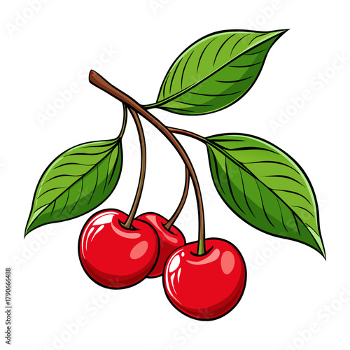 A vintage botanical illustration of a cherry branch with glossy green leaves and bright red cherries
