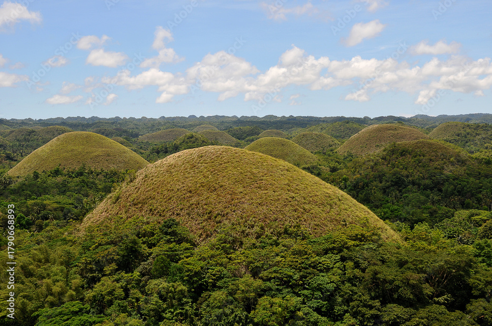 Fototapeta premium Chocolate Hills auf den Philippinen