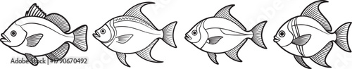 Set of Pomfret Fish Line Art, Coloring Book Page Line Art Drawing, Vector and Illustration