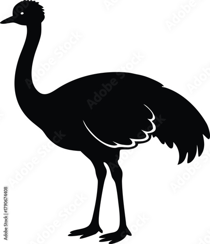 Isolated emu silhouette. Australian wildlife animal vector graphic