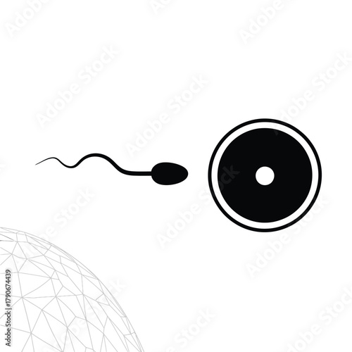 Sperm approaching an egg for fertilization concept