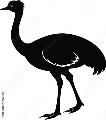 Emu bird silhouette. Large Australian flightless bird vector icon