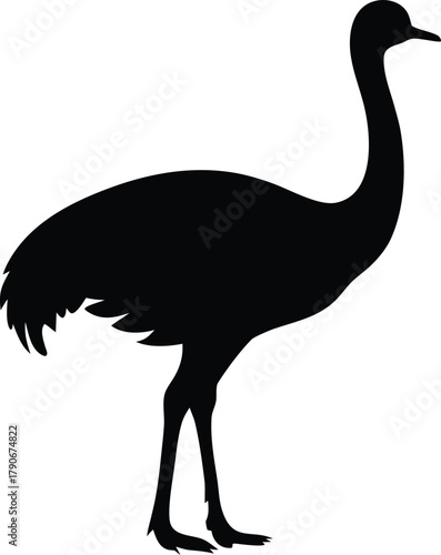 Emu bird silhouette. Large Australian flightless bird vector icon