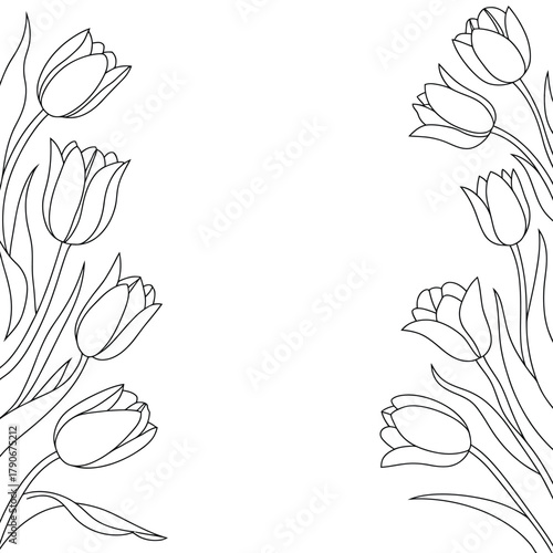 Elegant black and white line art of tulips border