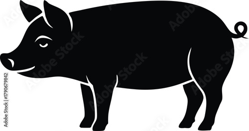 Pig graphic design, Isolated farm animal element