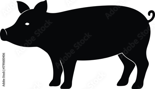 Pig vector illustration, Isolated farm animal graphic