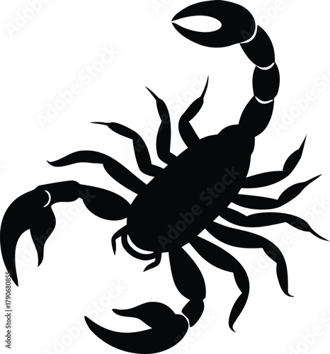 Isolated scorpion silhouette. Dangerous wildlife creature vector graphic
