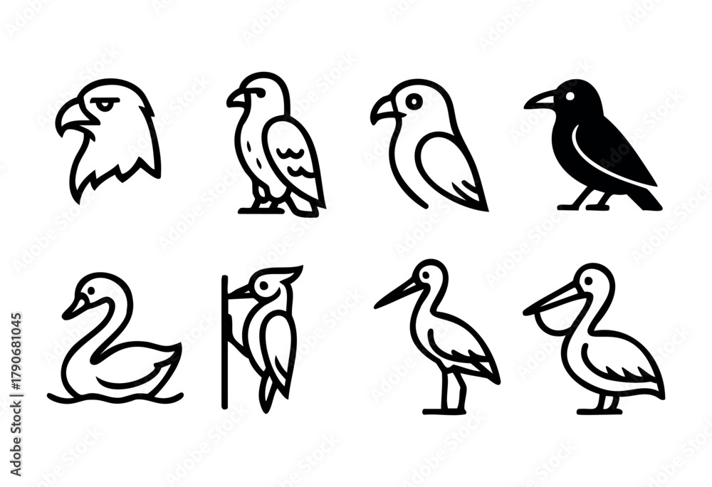 Fototapeta premium A collection of bird illustrations displays different species, including eagles, swans, and pelicans, each shown in a simple, line-drawn style. The designs capture the essence of each bird.