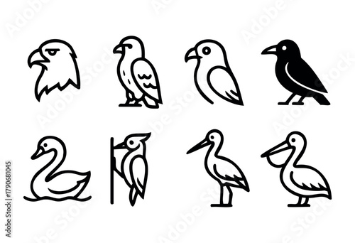 A collection of bird illustrations displays different species, including eagles, swans, and pelicans, each shown in a simple, line-drawn style. The designs capture the essence of each bird.
