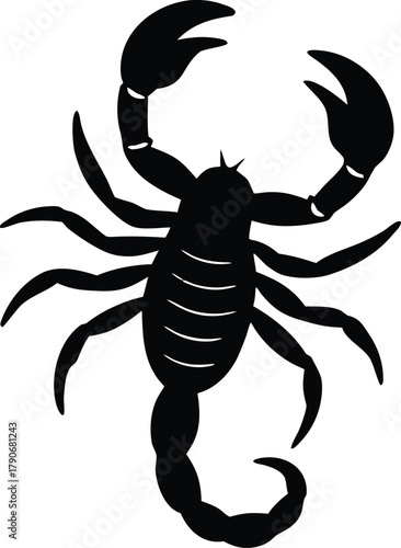 Isolated scorpion silhouette. Dangerous wildlife creature vector graphic