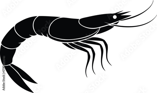 Isolated shrimp silhouette. Ocean delicacy or seafood ingredient vector