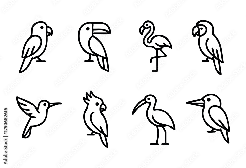 Naklejka premium A collection of line drawings showcases different bird species, including a parrot, flamingo, toucan, and hummingbird, highlighting their distinctive shapes and features.